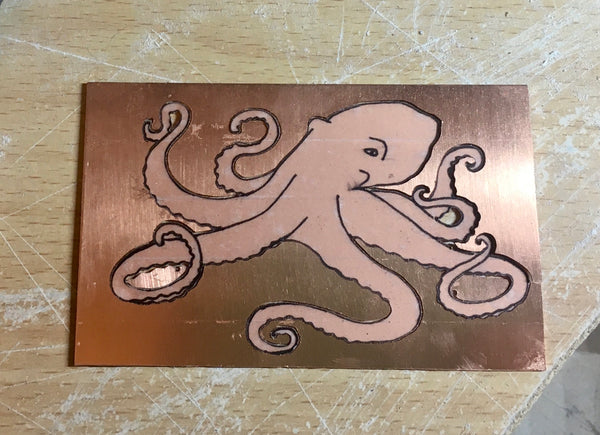 Octopus